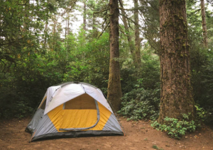 Ultralahek šotor v sivi in rumeni barvi sredi gozda.